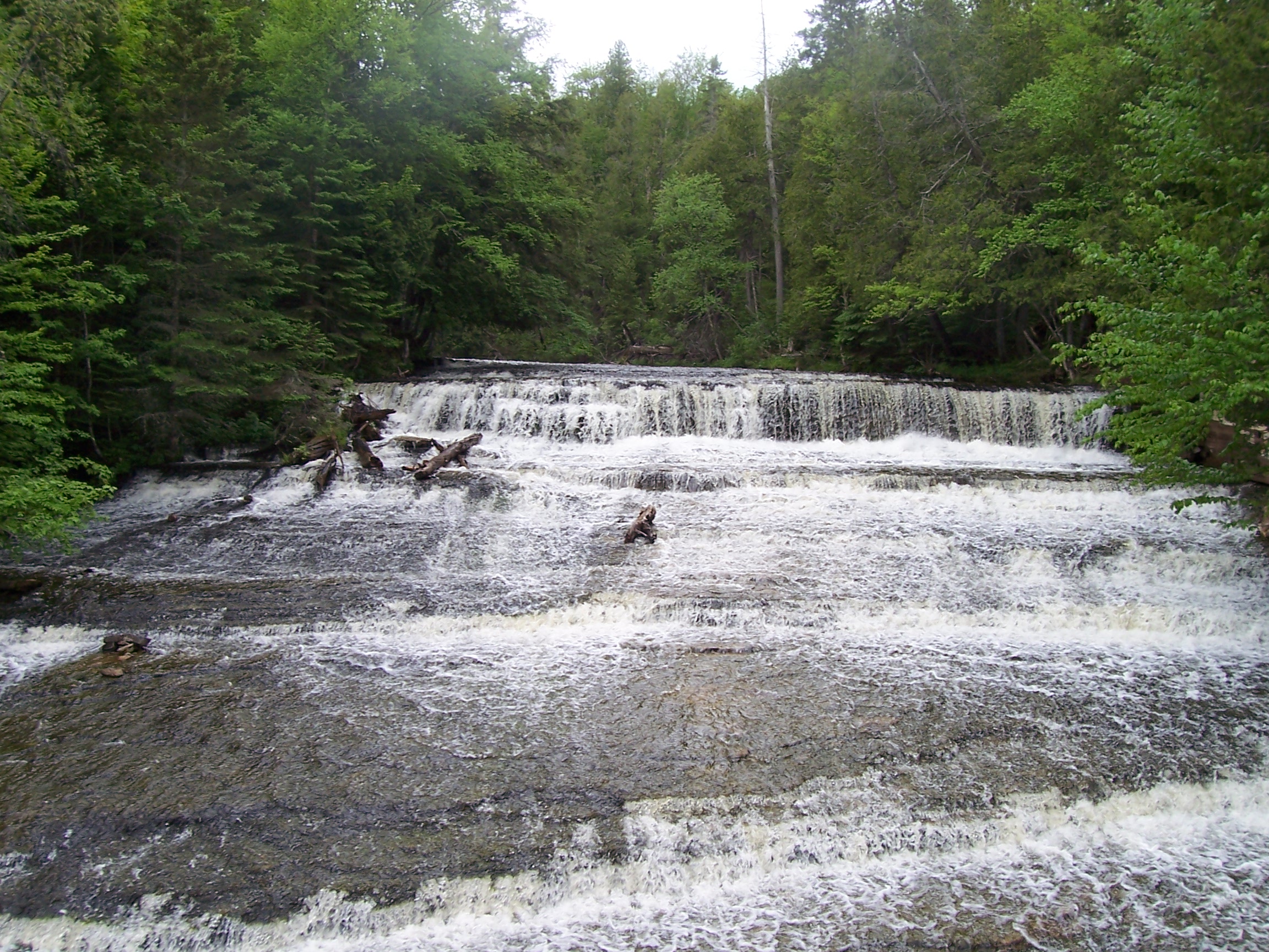 100_0132.jpg